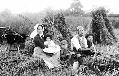 This charming photograph, taken in the late 1880s in the cornfields, shows the Bayliss family (Enos is the child in the middle, between his parents).