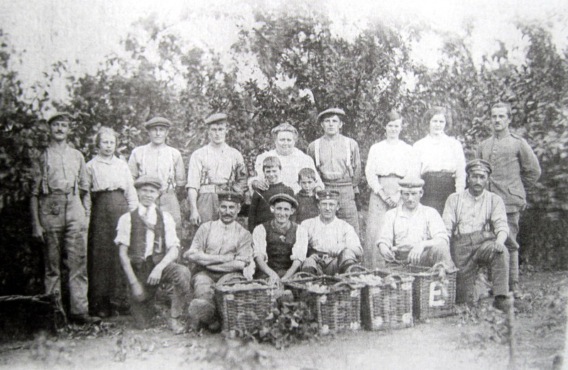 This picture was taken during the Great War and shows some of the Martin family and the German prisoners-of-war they had to help with the fruit harvest.