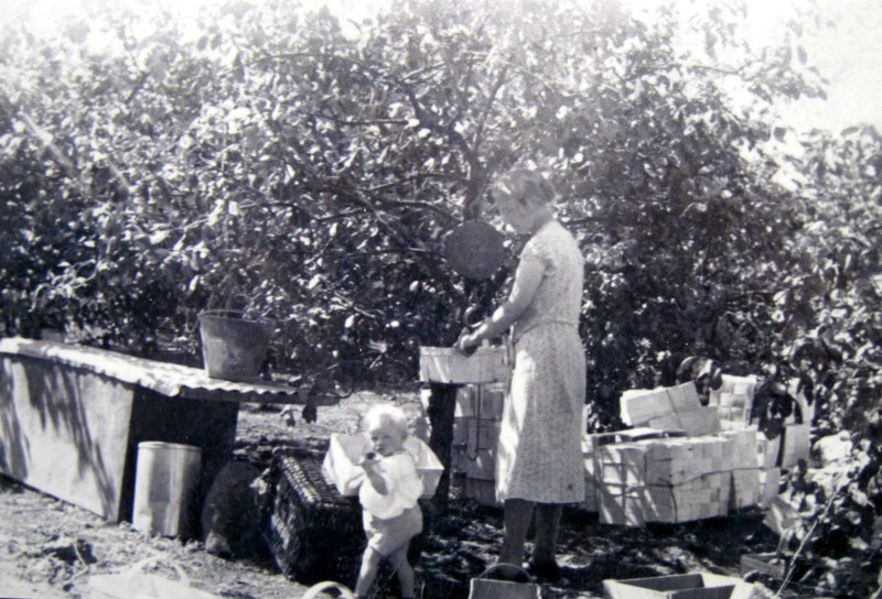Taken in 1933, this is Fred Martin’s wife. Emma, and first daughter, Marjorie, during fruit picking.