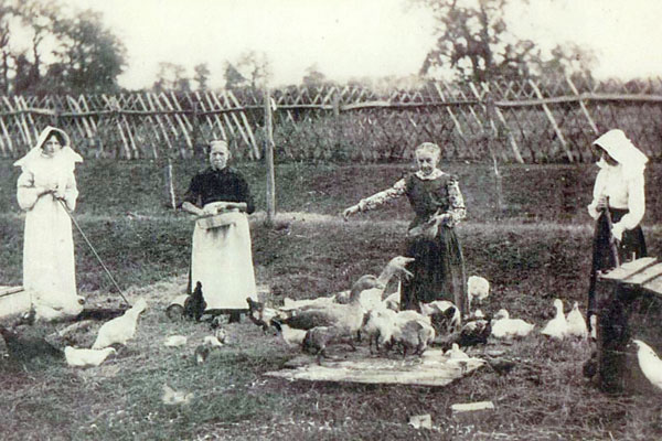Millicent Gertrude Pethard, a servant (name unknown), Hannah Pethard and Florence Pethard feeding a variety of poultry.